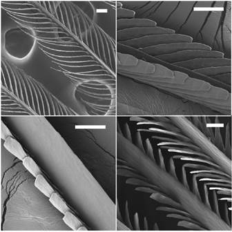 A close up of a piano

Description automatically generated